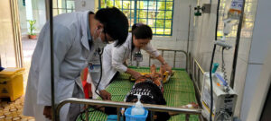 Đồng Tháp chủ động ứng phó với dịch bệnh tay chân miệng bùng phát 1 1775328009 phong chong dich