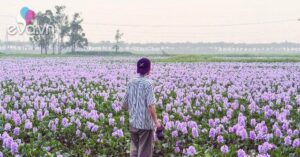 1775778782 729 thumbnail width1861height1396 auto crop watermark