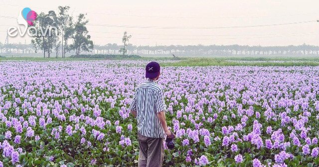 1775778782 729 thumbnail width1861height1396 auto crop watermark