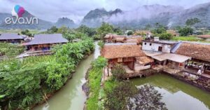 1776237420 146 thumbnail width1899height1425 auto crop watermark