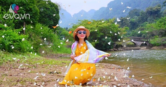 1776672862 774 thumbnail width1543height1157 auto crop watermark