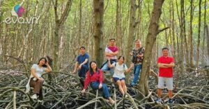 1776728867 105 thumbnail width1900height1425 auto crop watermark