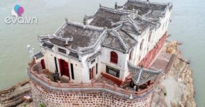 1777000886 360 thumbnail width1003height753 auto crop watermark