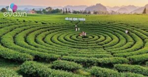 1777126284 575 thumbnail width810height608 auto crop watermark