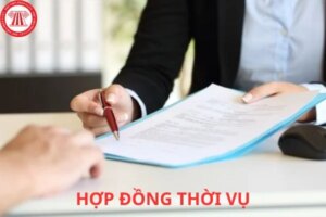 1778080146 hop dong thoi vu