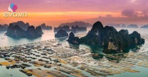 1779712556 19 thumbnail width943height707 auto crop watermark