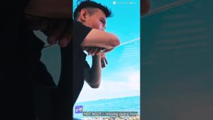 1783310695 Maxresdefault