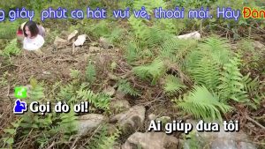 Gọi Đò Quang Hùng 4 1783364110 Maxresdefault