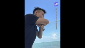 1791103868 maxresdefault