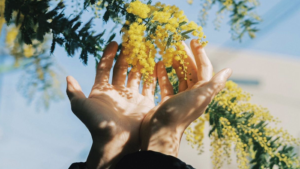 1b6d1c86f329dd4b83622fed7dffcf37 thanh xuan