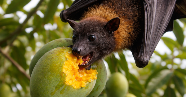 1Cbd9Cba 2E3E 4061 8351 828D60F8F40C 09413361 1769574063938 1769574064288845006170 0 0 450 720 Crop