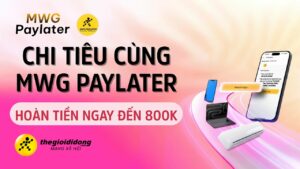 1Paylater638962219022757465