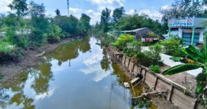 Cà Mau: 13 điểm sạt lở đất, nguy cơ chia cắt đường giao thông 1 2 1772448961007633510040 88 0 1253 2226 crop 1772449214825167766631