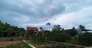 2 Nam Khong Ve Que Chong Vua Buoc Vao Phong Ngu Con Dau Bat Khoc 2C4183811Bfc4C0Dbd3B995018A6Cd90 49