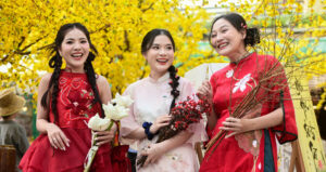 20 Loi Chuc Tet Cho Dong Nghiep Hay Y Nghia Mung Nam Moi 2026 515