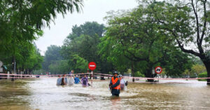 2025 Hue Van Mua Rat To Mien Bac Co Noi Troi Ret 5