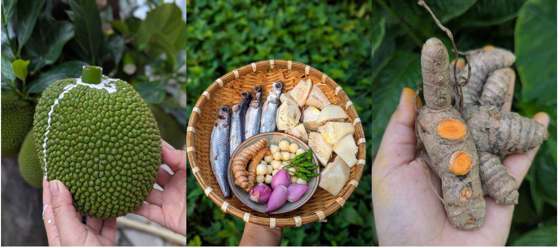 Loại cá đặc sản miền Trung biết bay, xưa giá rẻ như cho giờ được 'săn lùng' Loai ca dac san mien Trung biet bay xua gia re nhu cho gio duoc san lung 45 1746262043 476 width1148