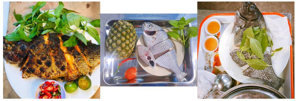 Đặc Sản Lý Sơn Có Tên Đáng Sợ, Thoắt Ẩn Thoắt Hiện, Có Tiền Cũng Khó Mua Đặc Sản Lý Sơn Có Tên Đáng Sợ, Thoắt Ẩn Thoắt Hiện, Có Tiền Cũng Khó Mua