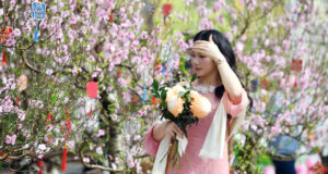 2026 Mien Bac Nang Am Den 28 Do Sap Don Khong Khi Lanh 1955