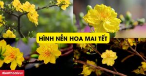 21Ada41B2372F55F1Da6Bd4B0078462B