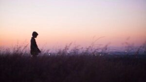 23d3b8a2c7010a8c208e9b785ebe5e7a hay