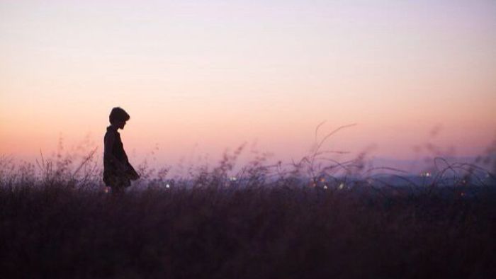 23d3b8a2c7010a8c208e9b785ebe5e7a hay