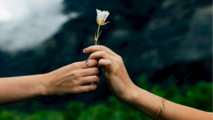 2ce582f39e41272efd4b620f24015522 cam hoa