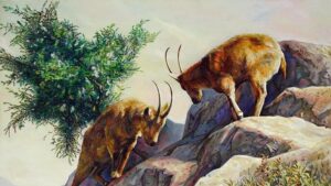 2Da3F63705Fe3D93Fdc77D01868Eb9Fd Tu Vi Tuoi Mui 2024 17037538600431840916817