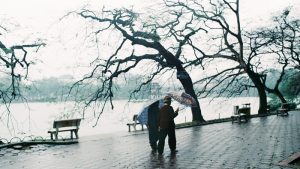 2F3B0286010Cb1436A32Fd5C52249B24 000038Ok 1