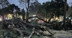 3 17719341218691604880440 22 0 1622 2560 crop 1771937987817351941373