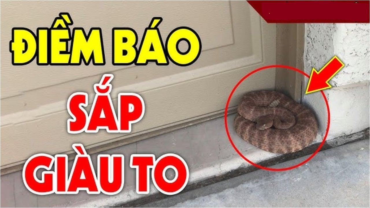 3 con vat vao nha diem bao may man gia chu sap trung lon giau to 115128
