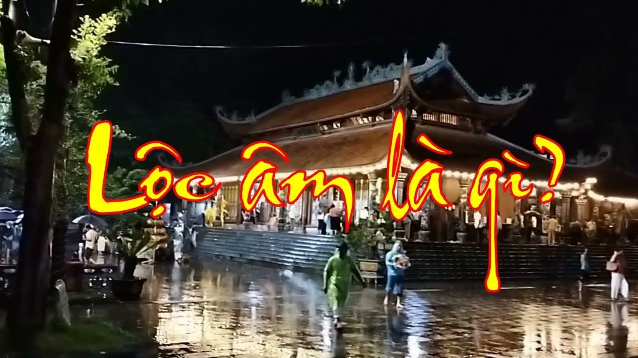 3 dau hieu gia dao dang duoc nhan loc phan am to tien bao ho se giau 122426