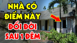 3 dau hieu ngoi nha cua ban sap trung so phat tai giau co 222422