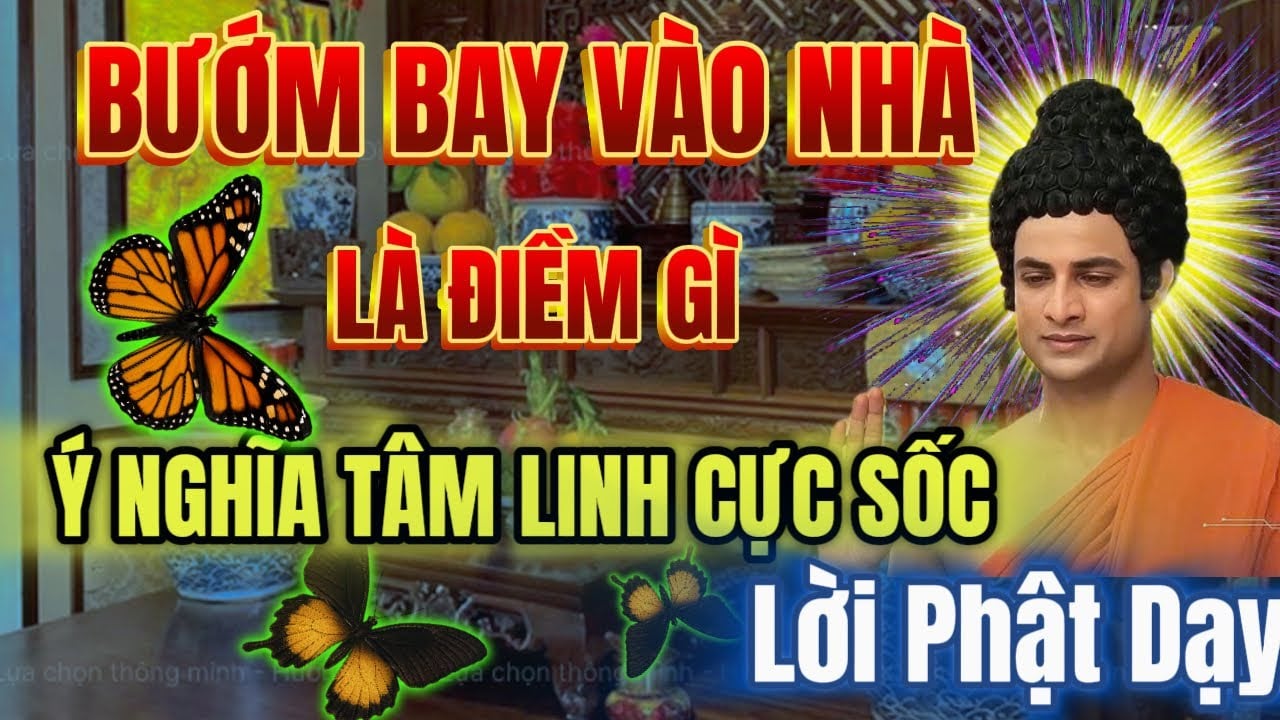 3 Dau Hieu Vao Buoi Toi Chung To Nha Ban Sap May Man Lon Ve Tien Tai Cong Danh 082708