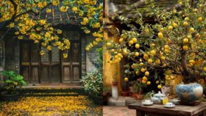 3 Khong Gan Cua Chinh 4 Khong Gan Cua So Tranh Duoc Nha Moi Yen Thu Do La Gi 095647