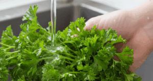 3 Mui Tay 1761284496874743540792 10 151 536 993 Crop 17612847339631006557516