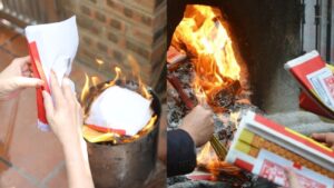 3 ngày đẹp hóa vàng Tết Bính Ngọ 2026 1 3 ngay dep hoa vang tet binh ngo 2026 170120