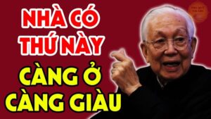 3 Thu Trong Nha Cang Sinh Soi Nay No Cang Giau Co 163634