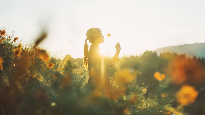 31d8b07c88864ec48021ea7dea447241 fa09061a04a63b11b72db22ada003cca