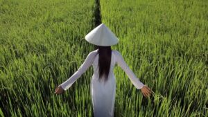 321Ebc543Ac171F13F6Ec3D87Ffb0687 Anh Que Huong