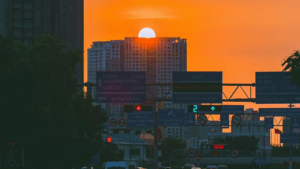 35652eed2d4817bddfe7e38b23ee6f02 hoang hon