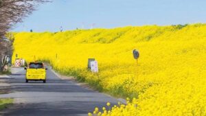 Biết đủ là hạnh phúc 1 3863c8a0003a3513a7104a2b9aeb181a dece19966aac43da341f9daa2fb71e2a