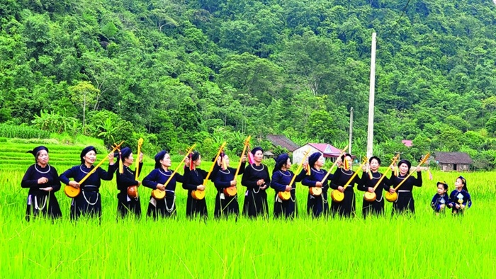 398f2cf6228c7559a1c7a45abd812c9f 98505 img 8992 tedd