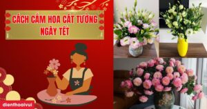 3A83Cfc56E9F4Ba5A9648976Df7E3653