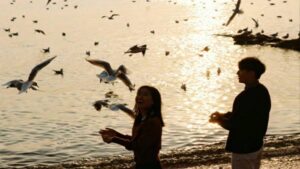 3fe02195a44bf817531d92e7f9c77af5 24d4b1c1b36e8c233b08ad1aace7e2fd