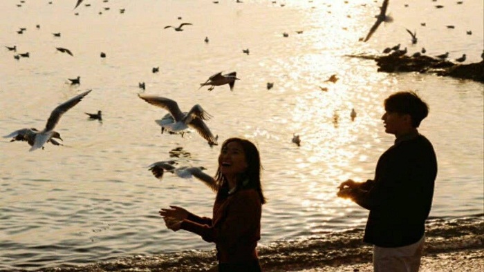 3fe02195a44bf817531d92e7f9c77af5 24d4b1c1b36e8c233b08ad1aace7e2fd