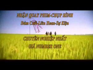 Nhận Quay Phim Đám Cưới, Giá Number One. Mr.lộc 0902.349.659 - Youtube 3Sj8C1Clf Q Dfmvf