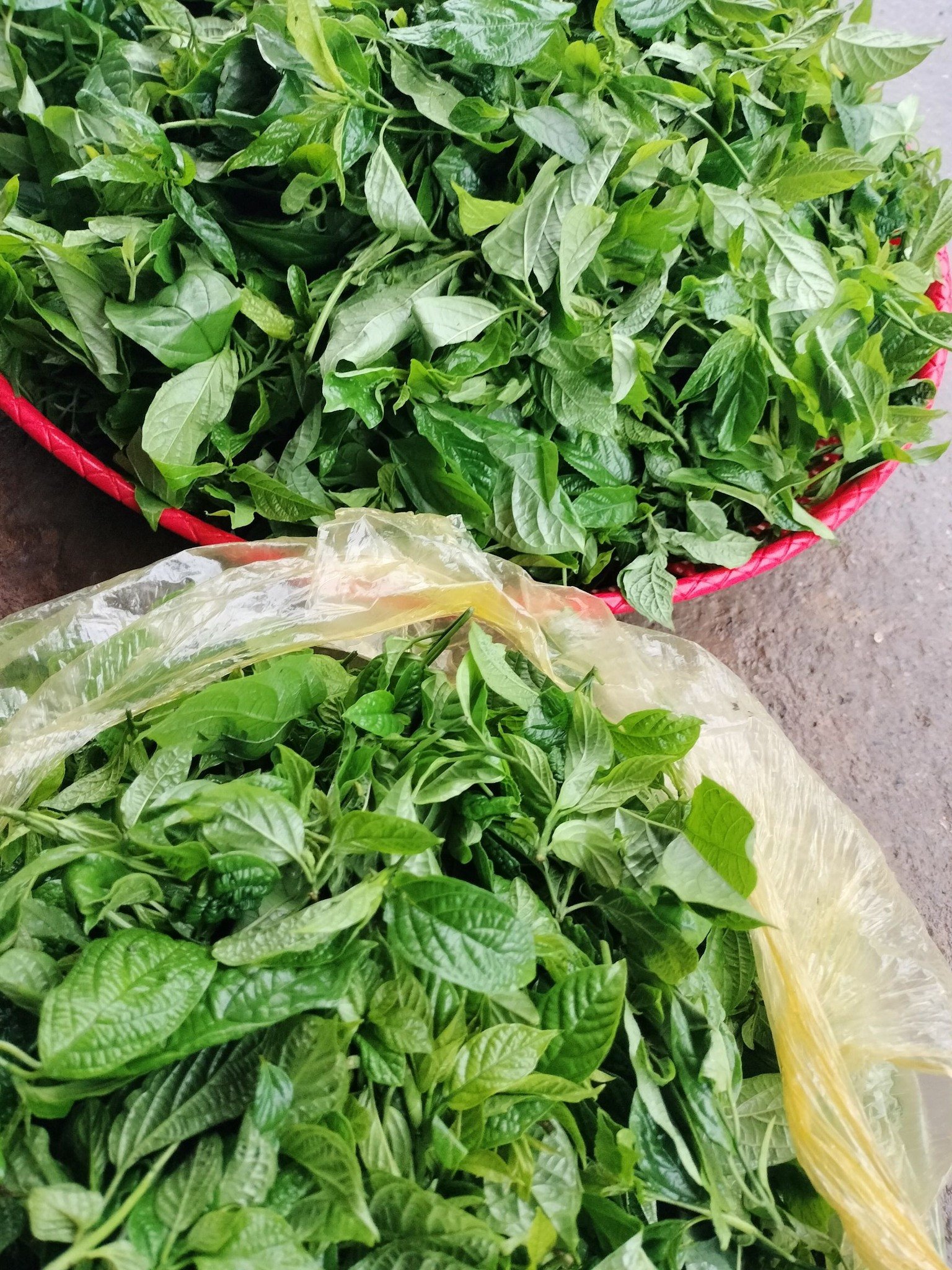 Đặc sản 'trời cho' ít người biết ở miền Bắc, giòn ngon, vị đăng đắng 4 1745744758 966 width1536height2048
