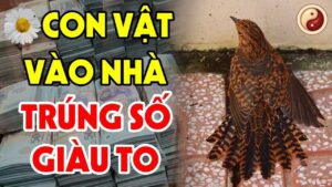 4 con vat de tu than tai ghe vao nha nao nha do giau co 120939