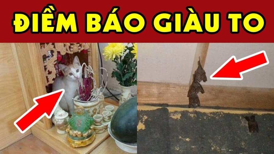 4 con vat vao nha mang toi may man giau co cho gia dinh ban dung dai duoi di 082344